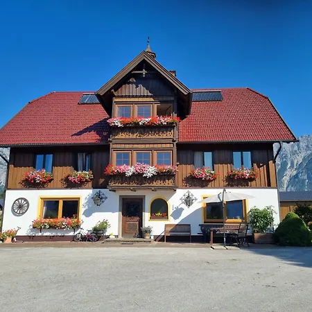 Kulmerhof - Farm *