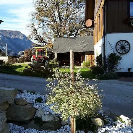Kulmerhof - Farm