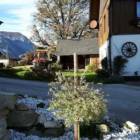 Kulmerhof - Farm