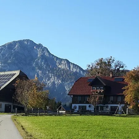 Kulmerhof - Farm * Pruggern